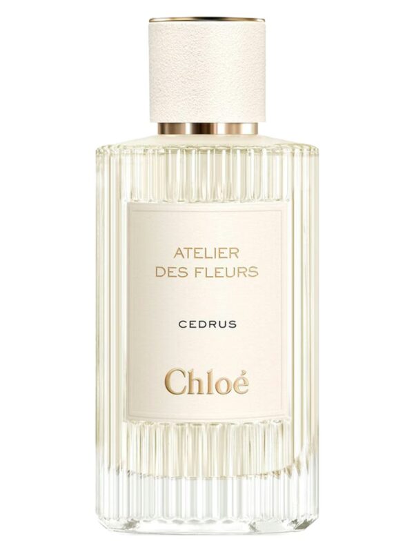 Cedrus Chloé